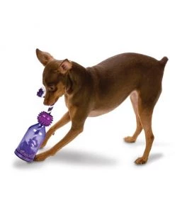 Busy Buddy Tug-A-Jug Treat Dispenser Tough Dog Chew Toy 10 Busy Buddy Tug-A-Jug Treat Dispenser Tough Dog Chew Toy -PetSafe Store 63849 PT2. SY630 V1602330662