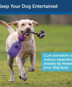 Busy Buddy Tug-A-Jug Treat Dispenser Tough Dog Chew Toy 11 Busy Buddy Tug-A-Jug Treat Dispenser Tough Dog Chew Toy -PetSafe Store 63849 PT3. SY630 V1602300965