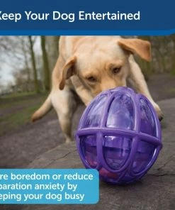 Busy Buddy Kibble Nibble Treat Dispenser Dog Toy -PetSafe Store 63853 PT3. SY630 V1602332460