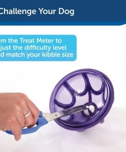 Busy Buddy Kibble Nibble Treat Dispenser Dog Toy -PetSafe Store 63853 PT6. SY630 V1602330059
