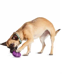 Busy Buddy Twist 'n Treat Treat Dispenser Dog Toy -PetSafe Store 63856 PT2. SY630 V1602300659