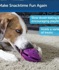 Busy Buddy Twist 'n Treat Treat Dispenser Dog Toy -PetSafe Store 63856 PT7. SY630 V1602286563