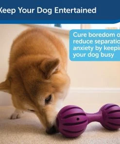 Busy Buddy Waggle Treat Dispenser Dog Toy 11 Busy Buddy Waggle Treat Dispenser Dog Toy -PetSafe Store 63862 PT3. SY630 V1602339664