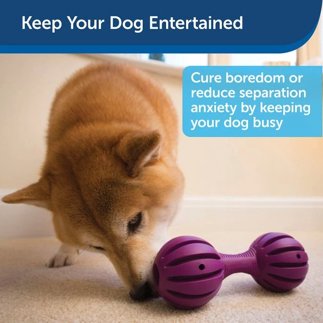 Busy Buddy Waggle Treat Dispenser Dog Toy 4 Busy Buddy Waggle Treat Dispenser Dog Toy - Image 4