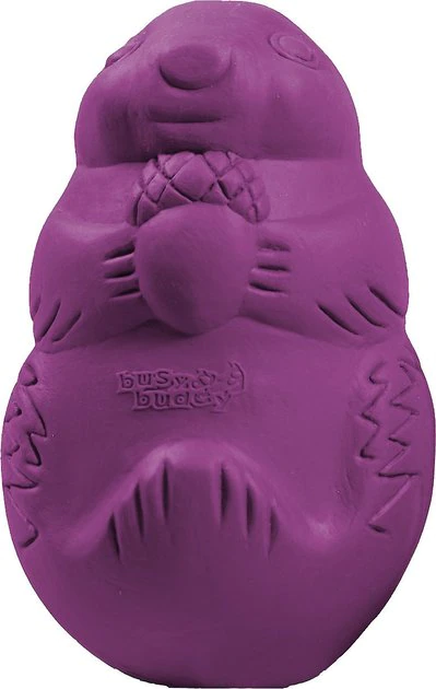 Busy Buddy Squirrel Dude Treat Dispenser Tough Dog Chew Toy 1 Busy Buddy Squirrel Dude Treat Dispenser Tough Dog Chew Toy