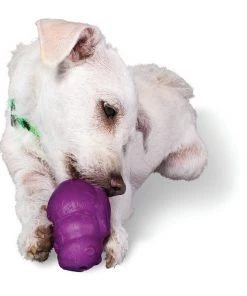 Busy Buddy Squirrel Dude Treat Dispenser Tough Dog Chew Toy 9 Busy Buddy Squirrel Dude Treat Dispenser Tough Dog Chew Toy -PetSafe Store 63866 PT2. SY630 V1602289563