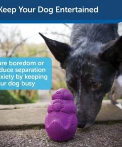 Busy Buddy Squirrel Dude Treat Dispenser Tough Dog Chew Toy 10 Busy Buddy Squirrel Dude Treat Dispenser Tough Dog Chew Toy -PetSafe Store 63866 PT3. SY630 V1602322561