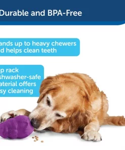 Busy Buddy Squirrel Dude Treat Dispenser Tough Dog Chew Toy 11 Busy Buddy Squirrel Dude Treat Dispenser Tough Dog Chew Toy -PetSafe Store 63866 PT4. SY630 V1602317159