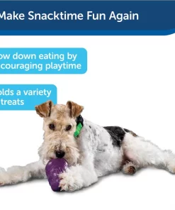 Busy Buddy Squirrel Dude Treat Dispenser Tough Dog Chew Toy 13 Busy Buddy Squirrel Dude Treat Dispenser Tough Dog Chew Toy -PetSafe Store 63866 PT7. SY630 V1602330959