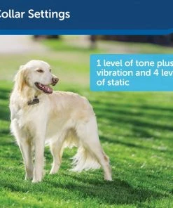 PetSafe Stubborn Dog In-Ground Fence System 10 PetSafe Stubborn Dog In-Ground Fence System -PetSafe Store 63894 PT4. SY630 V1590605776