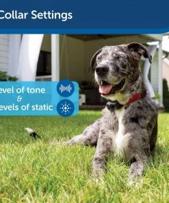 PetSafe In-Ground Fence System -PetSafe Store 63896 PT4. SY630 V1644432409