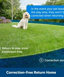 PetSafe Wireless Fence Receiver Collar -PetSafe Store 63898 PT5. SY630 V1657660705