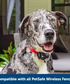 PetSafe Wireless Fence Receiver Collar -PetSafe Store 63898 PT6. SY630 V1657660705