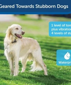 PetSafe Stubborn Dog In-Ground Receiver Collar -PetSafe Store 63902 PT4. SY630 V1606361510