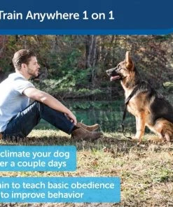 PetSafe Collarless Ultrasonic Remote Trainer System -PetSafe Store 63916 PT3. SY630 V1619794034