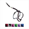 PetSafe Come With Me Kitty Nylon Cat Harness & Bungee Leash