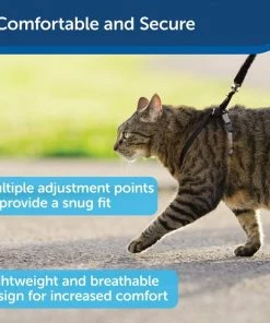 PetSafe Come With Me Kitty Nylon Cat Harness & Bungee Leash 9 PetSafe Come With Me Kitty Nylon Cat Harness & Bungee Leash -PetSafe Store 63990 PT2. SY630 V1601027155