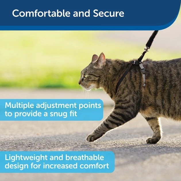 PetSafe Come With Me Kitty Nylon Cat Harness & Bungee Leash 3 PetSafe Come With Me Kitty Nylon Cat Harness & Bungee Leash - Image 3