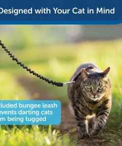 PetSafe Come With Me Kitty Nylon Cat Harness & Bungee Leash 11 PetSafe Come With Me Kitty Nylon Cat Harness & Bungee Leash -PetSafe Store 63990 PT4. SY630 V1601006762