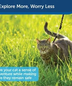 PetSafe Come With Me Kitty Nylon Cat Harness & Bungee Leash 12 PetSafe Come With Me Kitty Nylon Cat Harness & Bungee Leash -PetSafe Store 63990 PT5. SY630 V1601031058