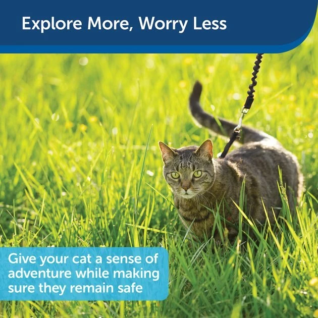 PetSafe Come With Me Kitty Nylon Cat Harness & Bungee Leash 6 PetSafe Come With Me Kitty Nylon Cat Harness & Bungee Leash - Image 6