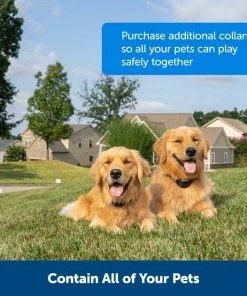 PetSafe Stay & Play Compact Wireless Dog & Cat Fence -PetSafe Store 66989 PT5. SY630 V1657661018