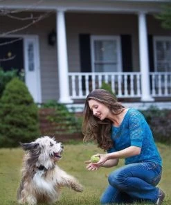 PetSafe Stay & Play Compact Wireless Dog & Cat Fence -PetSafe Store 66989 PT7. SY630 V1481235123