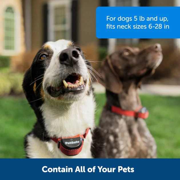 PetSafe Stubborn Dog Stay+Play Wireless Fence Receiver Collar 4 PetSafe Stubborn Dog Stay+Play Wireless Fence Receiver Collar - Image 4