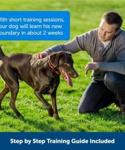 PetSafe Stubborn Dog Stay+Play Wireless Fence Receiver Collar 11 PetSafe Stubborn Dog Stay+Play Wireless Fence Receiver Collar -PetSafe Store 67058 PT4. SY630 V1657661018