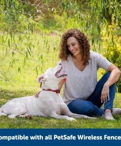 PetSafe Stubborn Dog Stay+Play Wireless Fence Receiver Collar 13 PetSafe Stubborn Dog Stay+Play Wireless Fence Receiver Collar -PetSafe Store 67058 PT6. SY630 V1657661018