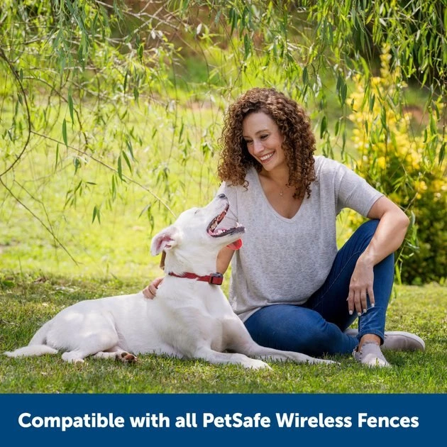 PetSafe Stubborn Dog Stay+Play Wireless Fence Receiver Collar 7 PetSafe Stubborn Dog Stay+Play Wireless Fence Receiver Collar - Image 7