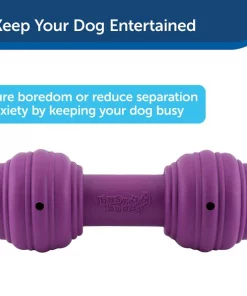 Busy Buddy Chuckle Squeaky Treat Dispenser Dog Toy -PetSafe Store 67197 PT3. SY630 V1602303964
