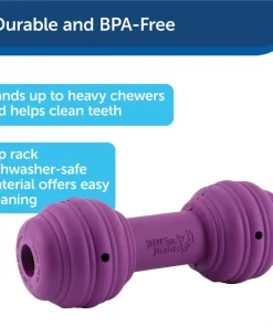 Busy Buddy Chuckle Squeaky Treat Dispenser Dog Toy -PetSafe Store 67197 PT4. SY630 V1602286263