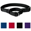 PetSafe Nylon Martingale Dog Collar