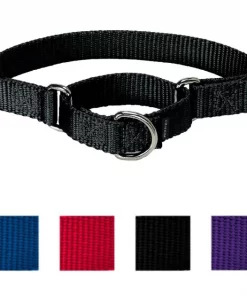PetSafe Nylon Martingale Dog Collar