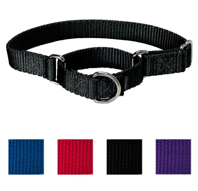 PetSafe Nylon Martingale Dog Collar 1 PetSafe Nylon Martingale Dog Collar