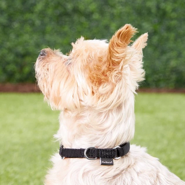 PetSafe Nylon Martingale Dog Collar 2 PetSafe Nylon Martingale Dog Collar - Image 2