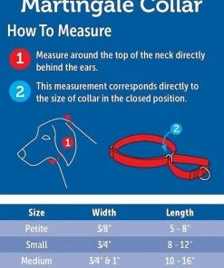 PetSafe Nylon Martingale Dog Collar 5 PetSafe Nylon Martingale Dog Collar -PetSafe Store 67272 PT8. SY630 V1516401944