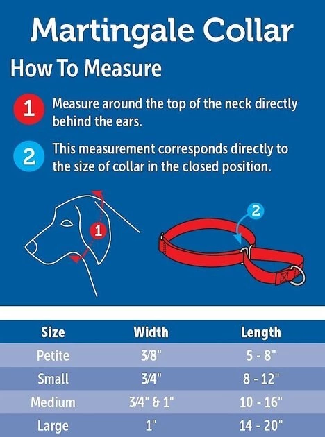 PetSafe Nylon Martingale Dog Collar 3 PetSafe Nylon Martingale Dog Collar - Image 3