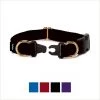 PetSafe Keep Safe Nylon Breakaway Dog Collar