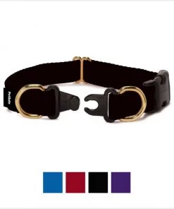PetSafe Keep Safe Nylon Breakaway Dog Collar