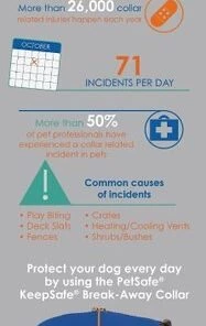 PetSafe Keep Safe Nylon Breakaway Dog Collar 7 PetSafe Keep Safe Nylon Breakaway Dog Collar -PetSafe Store 67291 PT3. SY630 V1469044359