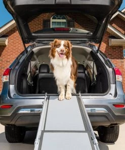 PetSafe Happy Ride Telescoping Dog Car Ramp