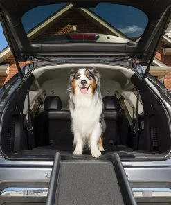 PetSafe Happy Ride Foldable Dog Car Ramp