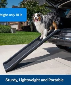 PetSafe Happy Ride Foldable Dog Car Ramp -PetSafe Store 68759 PT4. SY630 V1646089586