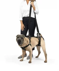 PetSafe CareLift Handicapped Support Dog Harness -PetSafe Store 68837 PT3. SY630 V1622669291