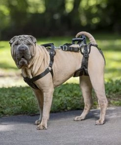 PetSafe CareLift Handicapped Support Dog Harness -PetSafe Store 68837 PT4. SY630 V1601034364
