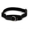 PetSafe Quick Snap Buckle Nylon Martingale Dog Collar