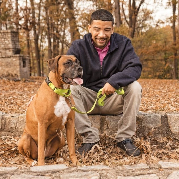 PetSafe Quick Snap Buckle Nylon Martingale Dog Collar 2 PetSafe Quick Snap Buckle Nylon Martingale Dog Collar - Image 2