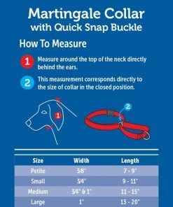 PetSafe Quick Snap Buckle Nylon Martingale Dog Collar 6 PetSafe Quick Snap Buckle Nylon Martingale Dog Collar -PetSafe Store 70786 PT2. SY630 V1619892134